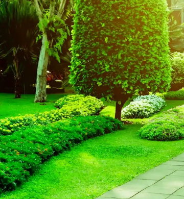 Transform Your Outdoor Space with Expert Garden Design in Parramatta