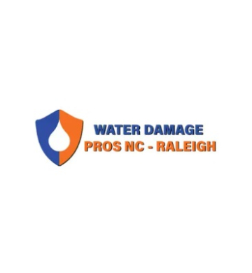 the Water Damage Pros Raleigh nc