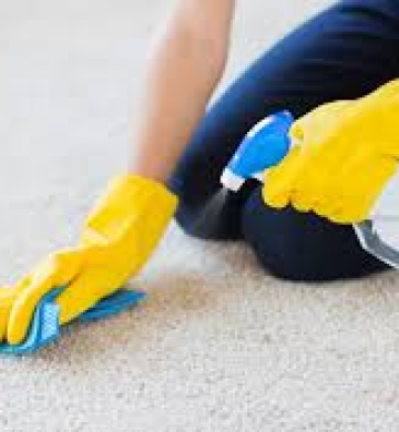Expert Carpet Cleaners in Central London