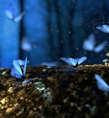 Dapper Down the Aisle: Finding the Perfect Groom’s Look