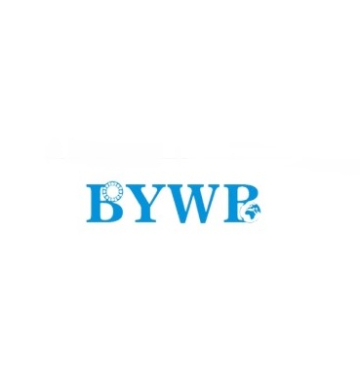 BYWB Bearing