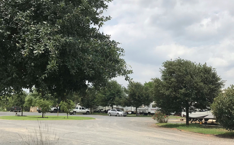 Media
